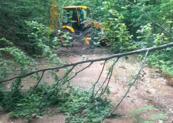 Δήμος Φλώρινας: Εντατικοί καθαρισμοί και παρεμβάσεις στο δασικό οδικό δίκτυο για την αντιπυρική θωράκιση