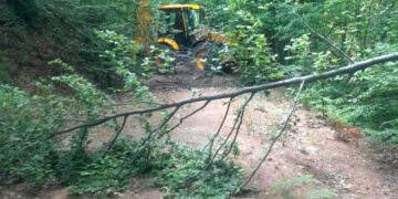 Δήμος Φλώρινας: Εντατικοί καθαρισμοί και παρεμβάσεις στο δασικό οδικό δίκτυο για την αντιπυρική θωράκιση