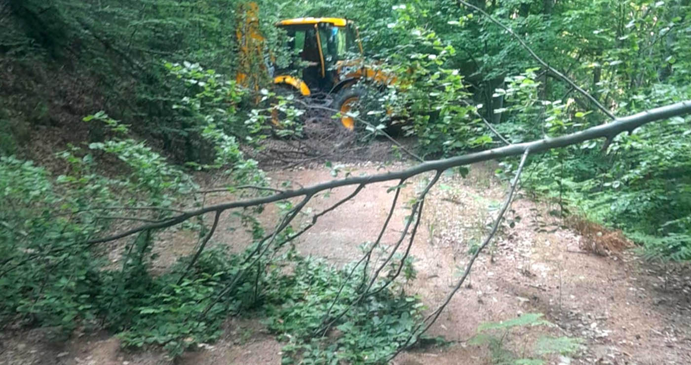 Δήμος Φλώρινας: Εντατικοί καθαρισμοί και παρεμβάσεις στο δασικό οδικό δίκτυο για την αντιπυρική θωράκιση