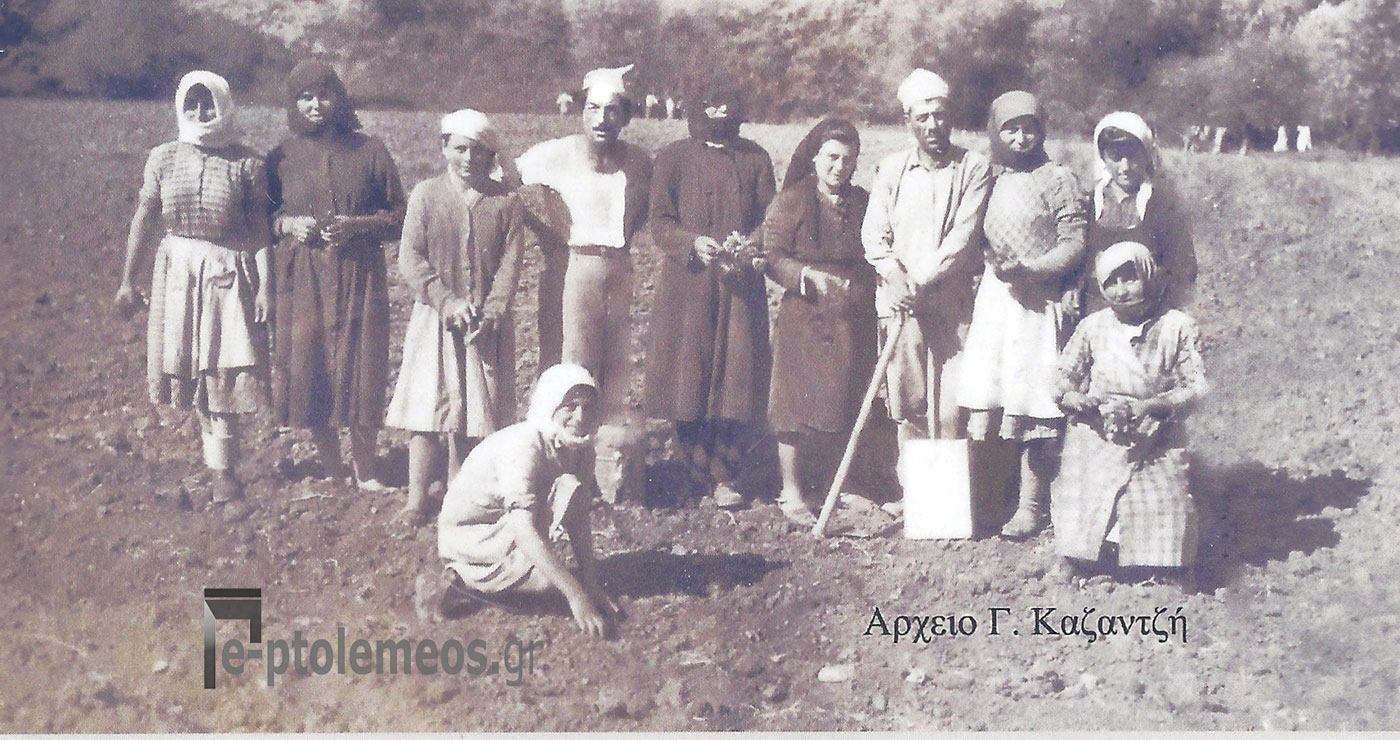 Από την έναρξη της καπνοφυτείας στο γειτονικό μας Προάστειο το Μαΐου 1949 – Από τη στήλη του Γ. Καζαντζή στον ΠΑΛΜΟ