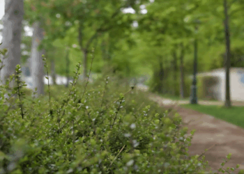 ART VIBE FESTIVAL – “Ο ΚΗΠΟΣ ΑΦΗΓΕΙΤΑΙ”: Σήμερα Κυριακή 15/6 στον Δημοτικό Κήπο Κοζάνης