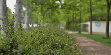 ART VIBE FESTIVAL – “Ο ΚΗΠΟΣ ΑΦΗΓΕΙΤΑΙ”: Σήμερα Κυριακή 15/6 στον Δημοτικό Κήπο Κοζάνης