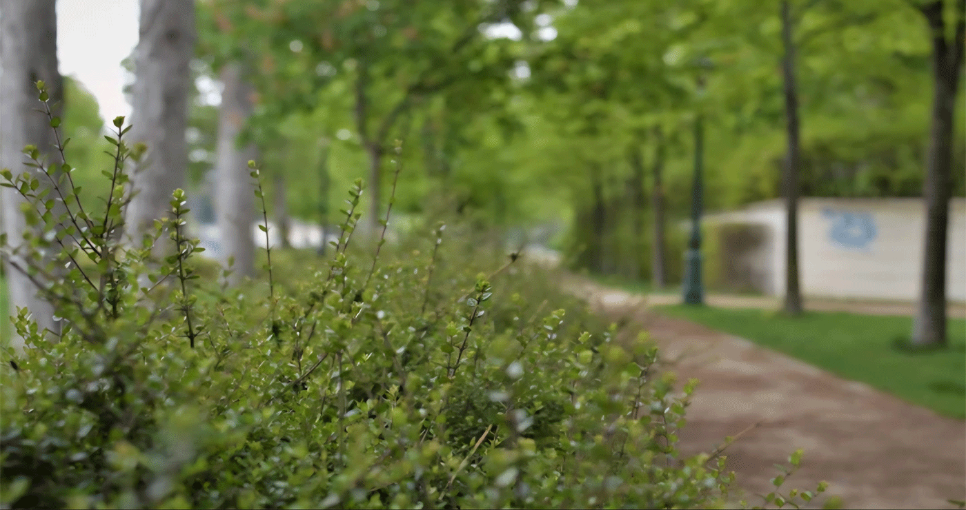 ART VIBE FESTIVAL – “Ο ΚΗΠΟΣ ΑΦΗΓΕΙΤΑΙ”: Σήμερα Κυριακή 15/6 στον Δημοτικό Κήπο Κοζάνης