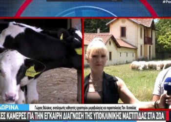 Θερμικές κάμερες και τεχνητή νοημοσύνη στην υπηρεσία κτηνοτρόφων – Τα αποτελέσματα έρευνας που παρουσιάστηκε στη Φλώρινα