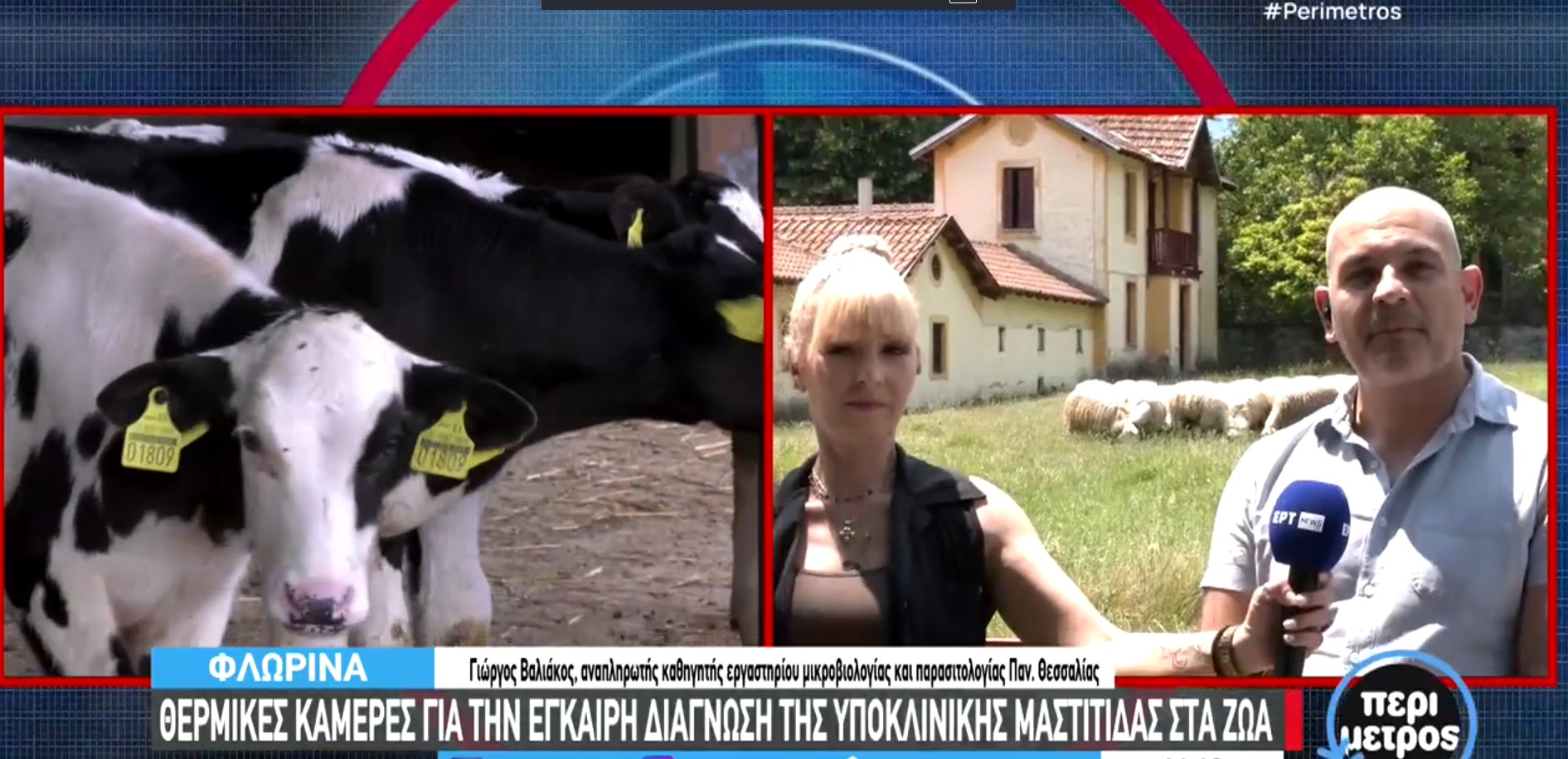 Θερμικές κάμερες και τεχνητή νοημοσύνη στην υπηρεσία κτηνοτρόφων – Τα αποτελέσματα έρευνας που παρουσιάστηκε στη Φλώρινα