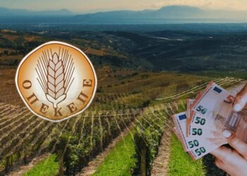 Η καταπάτηση της Δυτικής Μακεδονίας από τα κυκλώματα των επιδοτήσεων του ΟΠΕΚΕΠΕ- Ο ιδιόκτητος Γράμμος, οι αγριελιές και τα απέραντα βοσκοτόπια