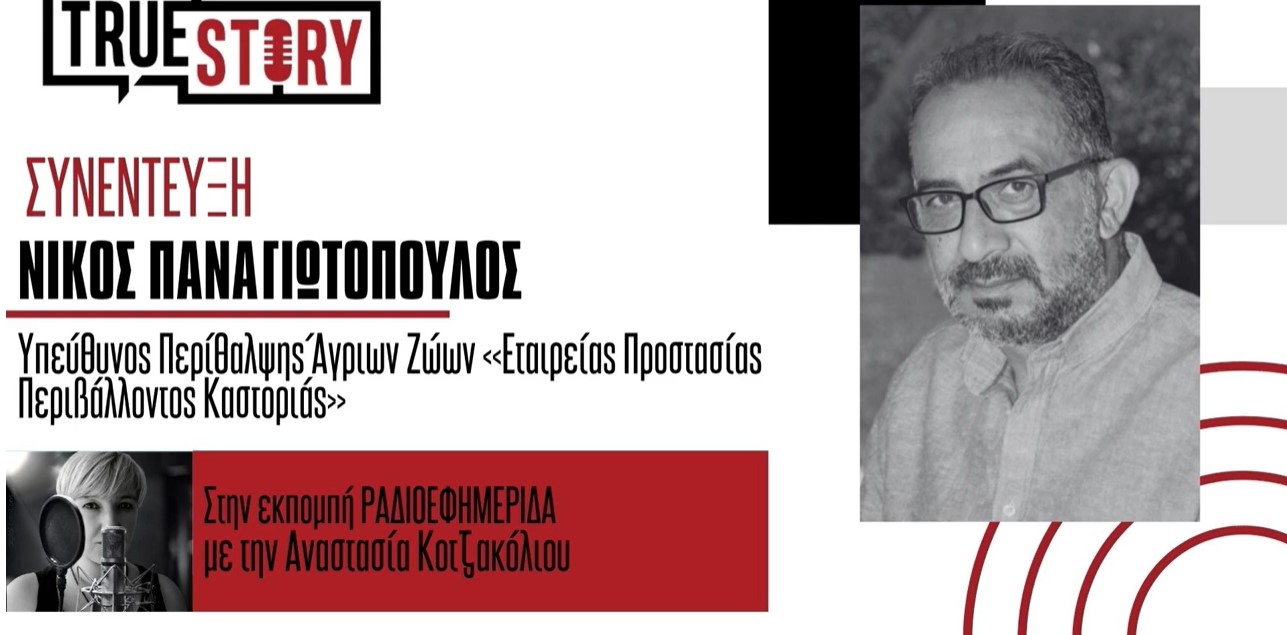 Ν. Παναγιωτόπουλος: Ενημέρωση για τα άγρια ζώα θα γίνει την Κυριακή στην Ασβεστόπετρα, στο πλαίσιο των εκδηλώσεων