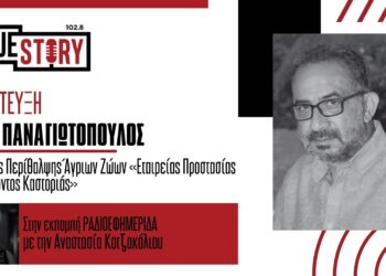 Ν. Παναγιωτόπουλος: Τι να κάνουμε αν έρθουμε τετ – α – τετ με αρκούδα