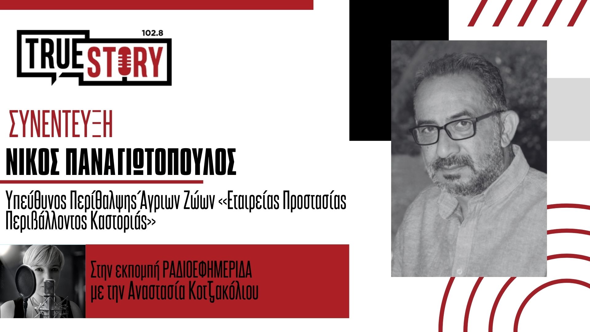 Ν. Παναγιωτόπουλος: Τι να κάνουμε αν έρθουμε τετ – α – τετ με αρκούδα