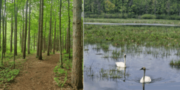 Συμμετοχή του Πρότυπου Δάσους Δυτικής Μακεδονίας στο Παγκόσμιο Φόρουμ 2025 στον Καναδά