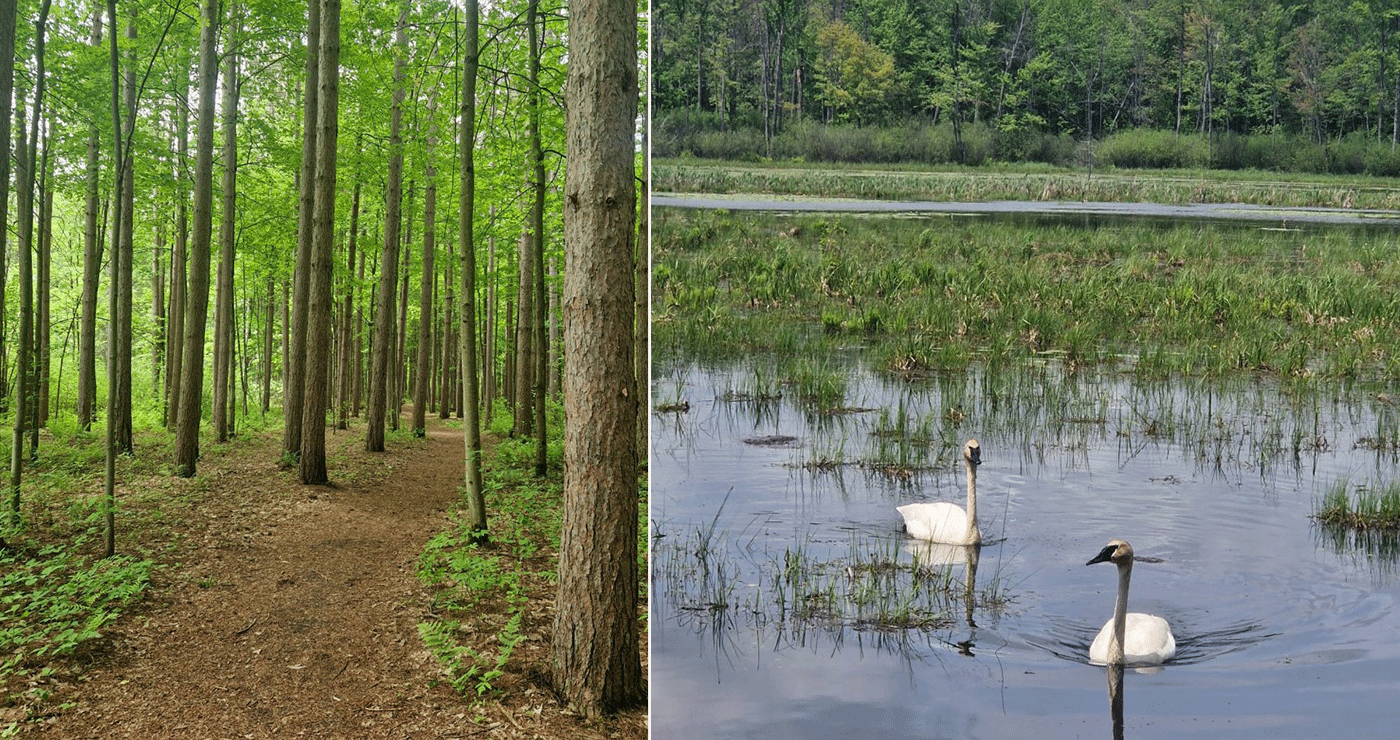 Συμμετοχή του Πρότυπου Δάσους Δυτικής Μακεδονίας στο Παγκόσμιο Φόρουμ 2025 στον Καναδά