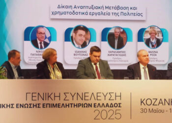 Ηχηρή παρέμβαση από τη Βαλίνα Ρόζα στην ΚΕΕΕ  για τη Δυτική Μακεδονία