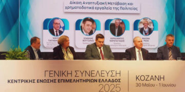 Ηχηρή παρέμβαση από τη Βαλίνα Ρόζα στην ΚΕΕΕ  για τη Δυτική Μακεδονία