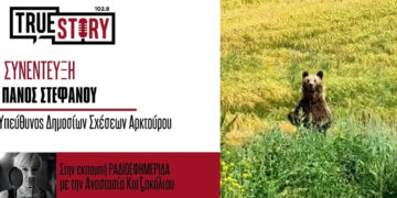 Π. Στεφάνου: Η αρκούδα δεν επιτίθεται, φοβάται και αντιδρά –  Τι λέει ο Αρκτούρος για τις αρκούδες στις κατοικημένες περιοχές