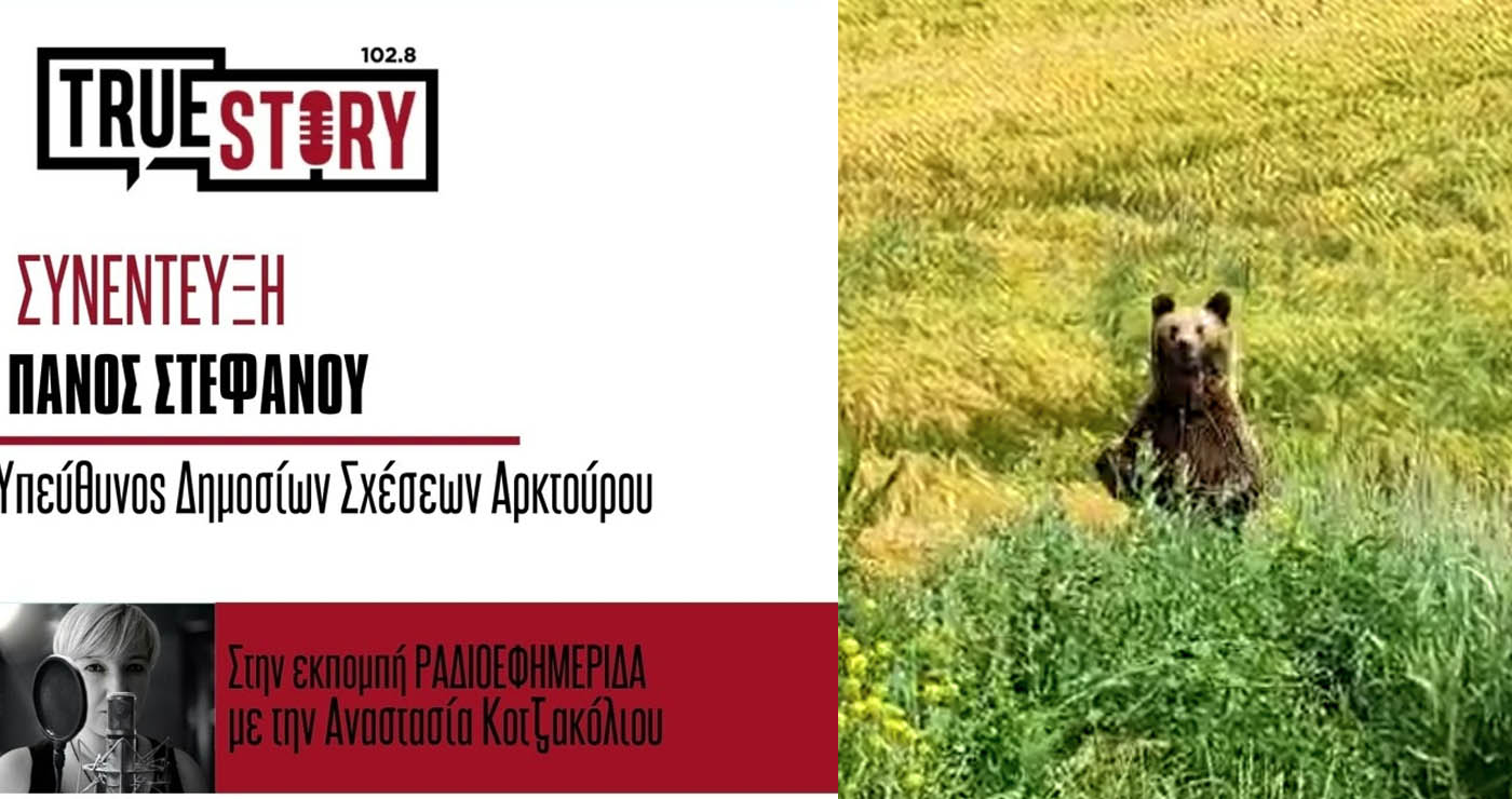 Π. Στεφάνου: Η αρκούδα δεν επιτίθεται, φοβάται και αντιδρά – Τι λέει ο Αρκτούρος για τις αρκούδες στις κατοικημένες περιοχές