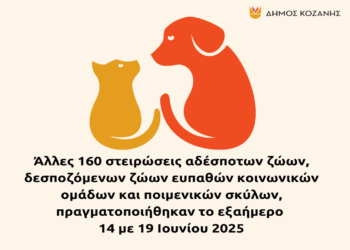Άλλες 160 δωρεάν στειρώσεις αδέσποτων και δεσποζόμενων ζώων πραγματοποιήθηκαν στην Κοζάνη