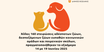 Άλλες 160 δωρεάν στειρώσεις αδέσποτων και δεσποζόμενων ζώων πραγματοποιήθηκαν στην Κοζάνη