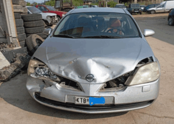 Καστοριά: Δεύτερο τροχαίο ατύχημα με αρκούδα σε μια μόλις εβδομάδα