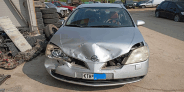 Καστοριά: Δεύτερο τροχαίο ατύχημα με αρκούδα σε μια μόλις εβδομάδα