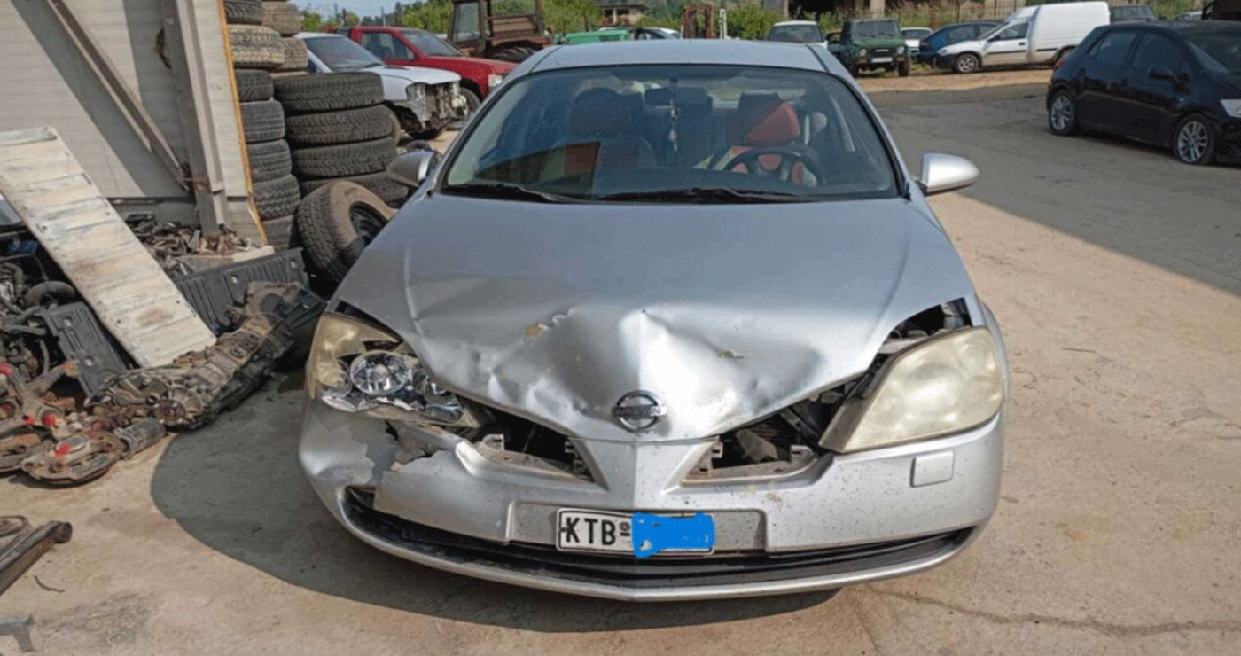 Καστοριά: Δεύτερο τροχαίο ατύχημα με αρκούδα σε μια μόλις εβδομάδα