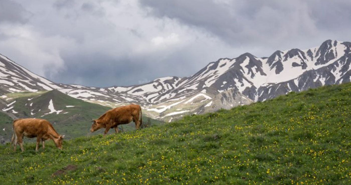 Σκάνδαλο ΟΠΕΚΕΠΕ: «Λάθος που δεν πρόσεξα ότι γράφει 10 ευρώ το έτος» – Τι ανέφεραν μάρτυρες για τα βοσκοτόπια του Γράμμου στην Καστοριά