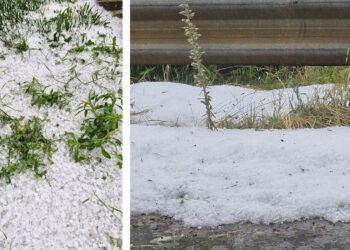 Τσοτύλι: Σοβαρές ζημιές σε αγροτικές καλλιέργειες από το χαλάζι