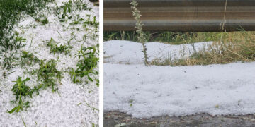 Τσοτύλι: Σοβαρές ζημιές σε αγροτικές καλλιέργειες από το χαλάζι