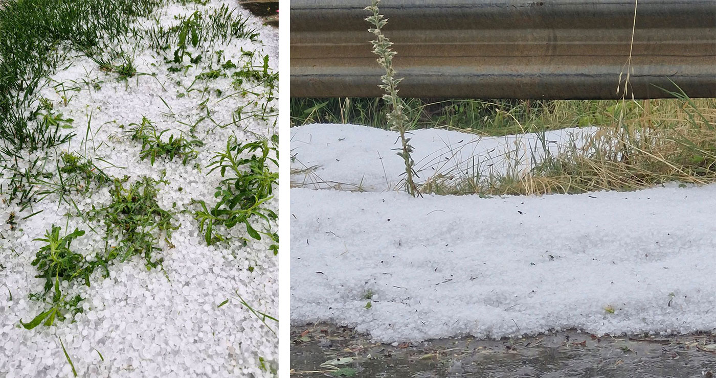 Τσοτύλι: Σοβαρές ζημιές σε αγροτικές καλλιέργειες από το χαλάζι