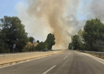 ΣΥΜΒΑΙΝΕΙ ΤΩΡΑ: Φωτιά στο δρόμο Πτολεμαΐδας-Κοζάνης – Πολλές εστίες, ειδοποιήθηκε η Πυροσβεστική