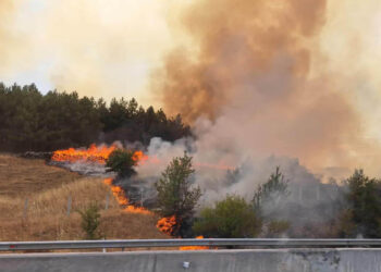 Δρόμος Πτολεμαΐδας-Κοζάνης: Δείτε φωτογραφίες από τις εστίες φωτιάς – Επιχειρεί η Πυροσβεστική