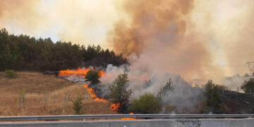 Δρόμος Πτολεμαΐδας-Κοζάνης: Δείτε φωτογραφίες από τις εστίες φωτιάς – Επιχειρεί η Πυροσβεστική