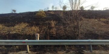 Φωτιά στο δρόμο Πτολεμαΐδας-Κοζάνης: Προετοιμάζονται στην Ασβεστόπετρα με αντιπυρικές ζώνες