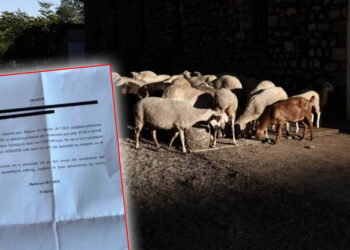 Ο γραμματέας ΝΕ Ηρακλείου του ΠΑΣΟΚ επέστρεψε στον ΟΠΕΚΕΠΕ 15.667,68 ευρώ επικαλούμενος λόγους… ευθιξίας (!)