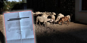 Ο γραμματέας ΝΕ Ηρακλείου του ΠΑΣΟΚ επέστρεψε στον ΟΠΕΚΕΠΕ 15.667,68 ευρώ επικαλούμενος λόγους… ευθιξίας (!)