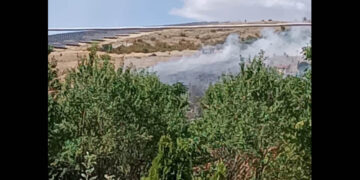 Νέα φωτιά στην περιοχή – Στο βουνό πάνω από τη Νέα Νικόπολη Κοζάνης