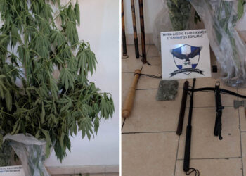 Μίνι “οπλοστάσιο” στην Πτολεμαΐδα – Συνελήφθη 62χρονος με δενδρύλλια κάνναβης, βαλλίστρα, τσεκούρια και λόγχες
