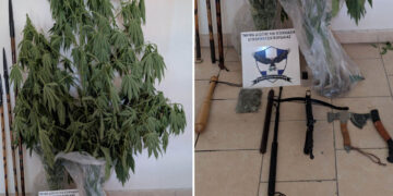 Μίνι “οπλοστάσιο” στην Πτολεμαΐδα – Συνελήφθη 62χρονος με δενδρύλλια κάνναβης, βαλλίστρα, τσεκούρια και λόγχες