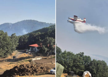 Πυρκαγιά στο Χειμάδι: Δείτε βίντεο με τη μάχη από αέρος στο Βαρικό Φλώρινας