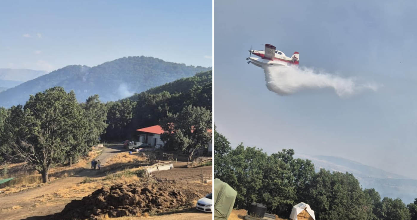 Πυρκαγιά στο Χειμάδι: Δείτε βίντεο με τη μάχη από αέρος στο Βαρικό Φλώρινας