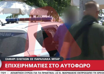 Χαλκιδική: Μέσα στο… κύμα οι ξαπλώστρες – Σύλληψη επιχειρηματία on camera