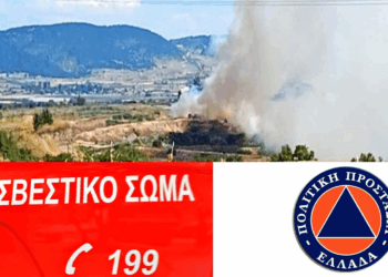70 στρέμματα βλάστησης έκαψε η φωτιά στην περιοχή Βαλτονέρων – Πεδινού – Συντονισμένη η κατάσβεση
