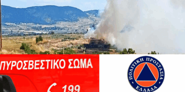 70 στρέμματα βλάστησης έκαψε η φωτιά στην περιοχή Βαλτονέρων – Πεδινού – Συντονισμένη η κατάσβεση