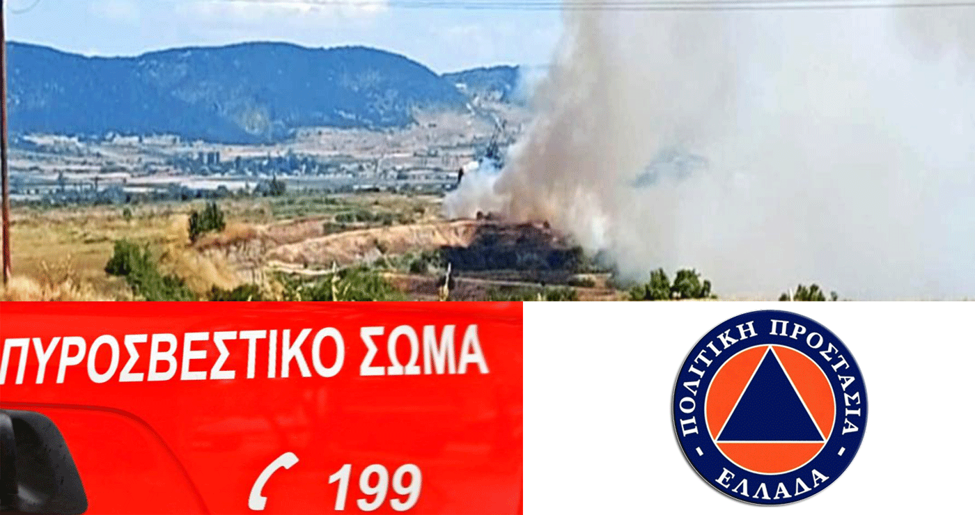 70 στρέμματα βλάστησης έκαψε η φωτιά στην περιοχή Βαλτονέρων – Πεδινού – Συντονισμένη η κατάσβεση