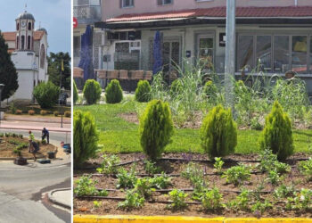 Ξεκίνησε η πρώτη φάση φύτευσης στην Ανάπλαση Αμυνταίου (Φωτογραφίες)