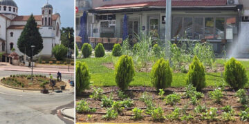 Ξεκίνησε η πρώτη φάση φύτευσης στην Ανάπλαση Αμυνταίου (Φωτογραφίες)