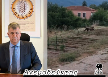 Ο κ. Σημανδράκος στην πρώτη γραμμή της «καυτής» επικαιρότητας! – Μήπως ν’ αρχίσουμε να παραγγέλνουμε και… αρκουδόσπιτο; – Ο ΑΝΕΜΟΔΕΙΚΤΗΣ σχολιάζει