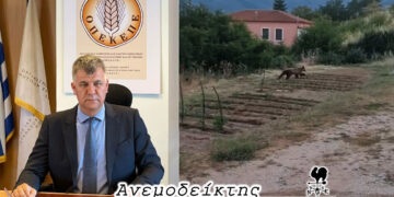 Ο κ. Σημανδράκος στην πρώτη γραμμή της «καυτής» επικαιρότητας! – Μήπως ν’ αρχίσουμε να παραγγέλνουμε και… αρκουδόσπιτο; – Ο ΑΝΕΜΟΔΕΙΚΤΗΣ σχολιάζει