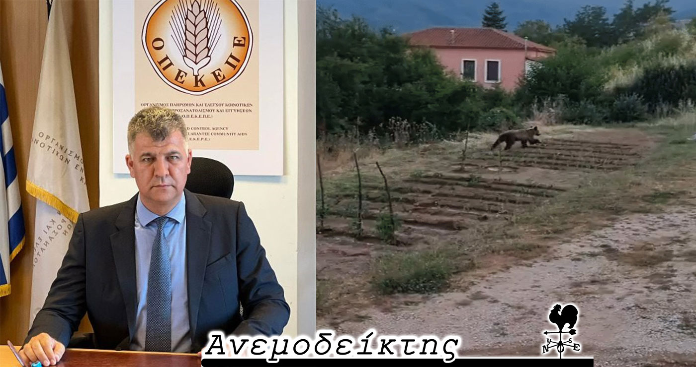 Ο κ. Σημανδράκος στην πρώτη γραμμή της «καυτής» επικαιρότητας! – Μήπως ν’ αρχίσουμε να παραγγέλνουμε και… αρκουδόσπιτο; – Ο ΑΝΕΜΟΔΕΙΚΤΗΣ σχολιάζει