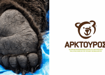 “Οι αρκούδες δολοφονούνται!” – Ανακοίνωση του ΑΡΚΤΟΥΡΟΥ για τα 3 περιστατικά πυροβολημένων αρκούδων