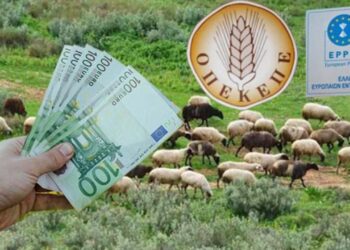 Αμύνταιο: Έλεγχοι για δηλώσεις παράνομων βοσκοτόπων  – Ηχηρή προειδοποίηση από τον Αγροτικό Συνεταιρισμό